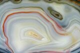 Cut & Polished Brazilian Agate With Colorful Banding #146270-1